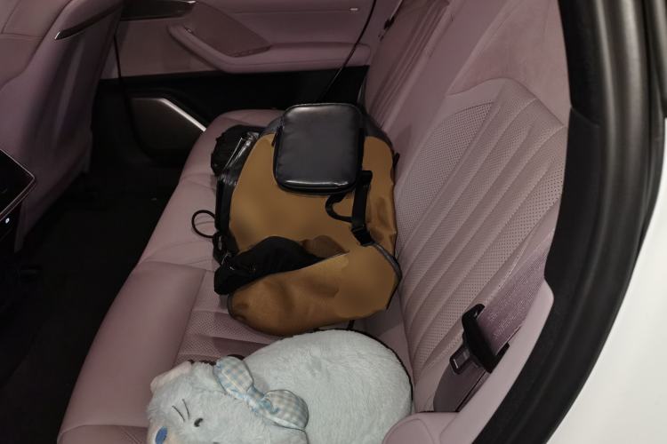 Used ONVO L60 2024 60 kWh Rear-Drive Version
