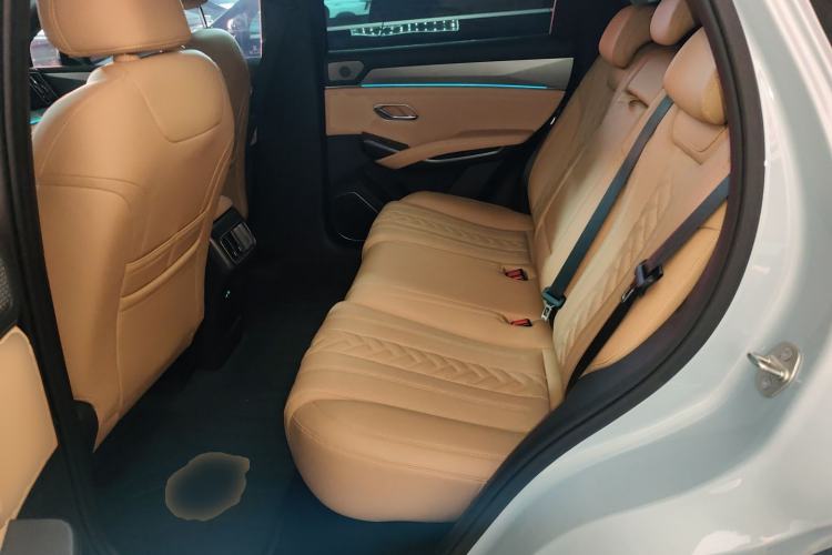 Used BYD Song L DM-i 2024 112 km Beyond Edition Left Rear Seat