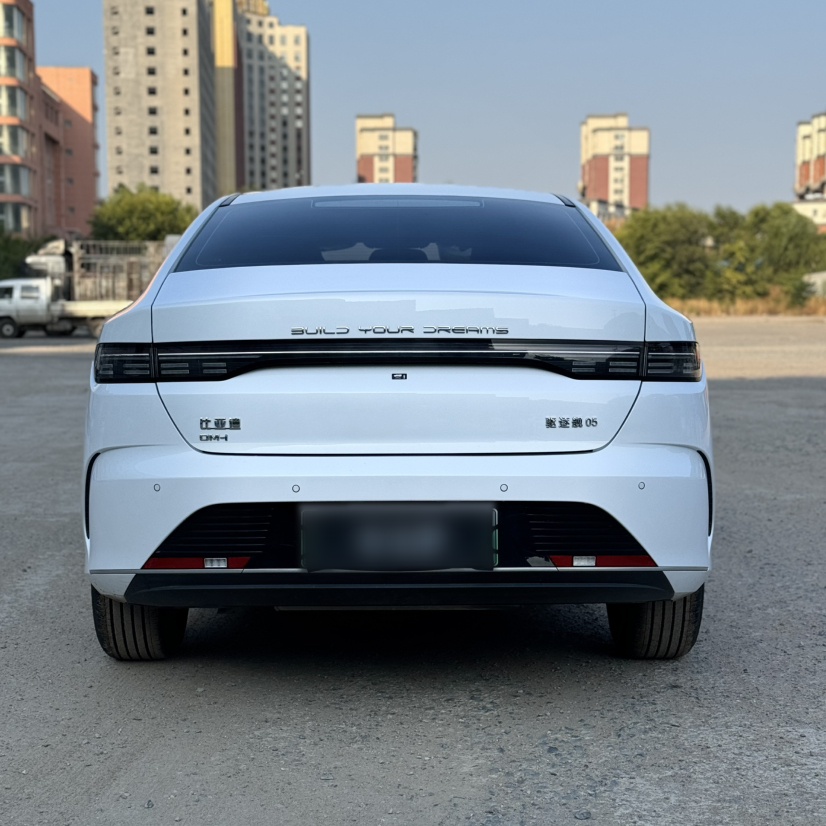BYD Destroyer 05 2024 HONOR Edition DM-i 55KM Luxury Model — снимка 6