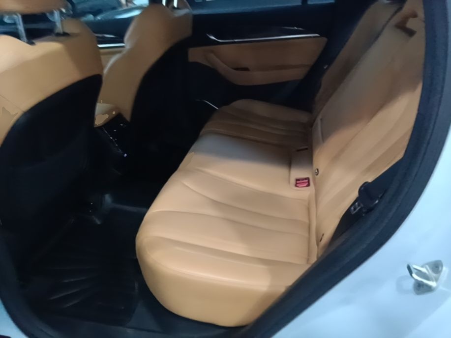 Geely Auto Monjaro L Extended Range Electric Version 2022 1.5T DHT Range-Extending Electric Supreme Edition — снимка 20
