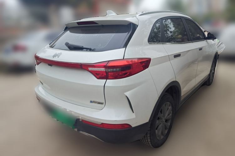 Used WM Motor EX5 2019 EX5 Entry Edition 300 Rear Right 45 Deg