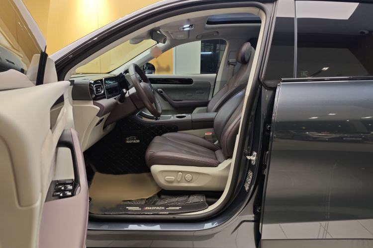 Used Leapmotor C11 2023 Pure Electric 500 Comfort Edition
