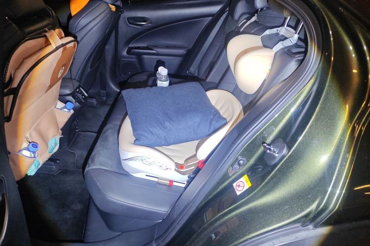 Used Lexus UX 2019 260h F SPORT Version China VI Standard