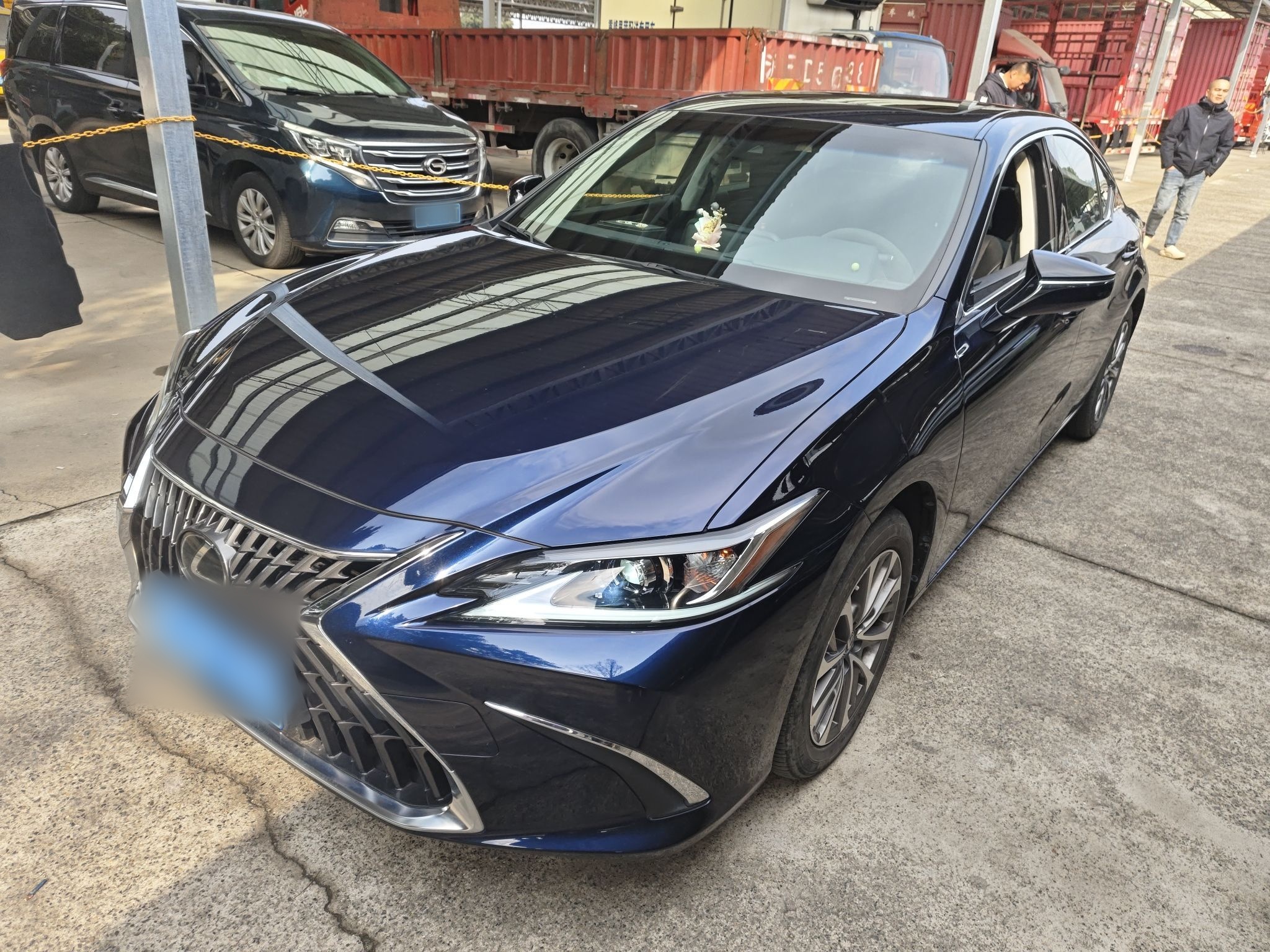 تحت مقدمة السيارة