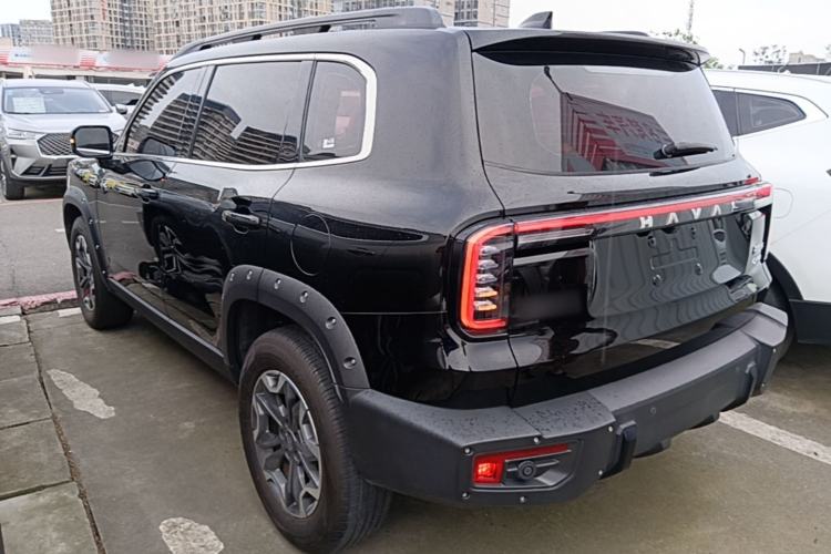 Used Haval DARGO 2024 2.0T DCT Chinese Rural Dog Edition
