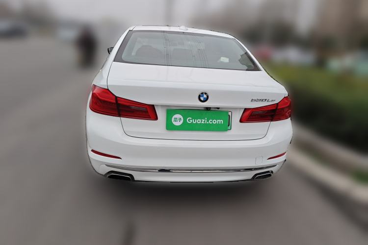 Used BMW 5 Series New Energy 2019 530Le Luxury Package
