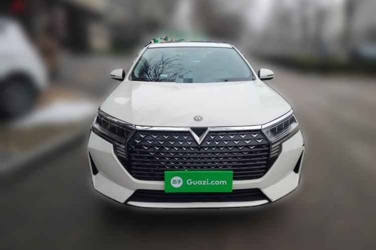 Used Venucia D60 2021 PLUS 1.6L XL CVT Yue Ling Edition
