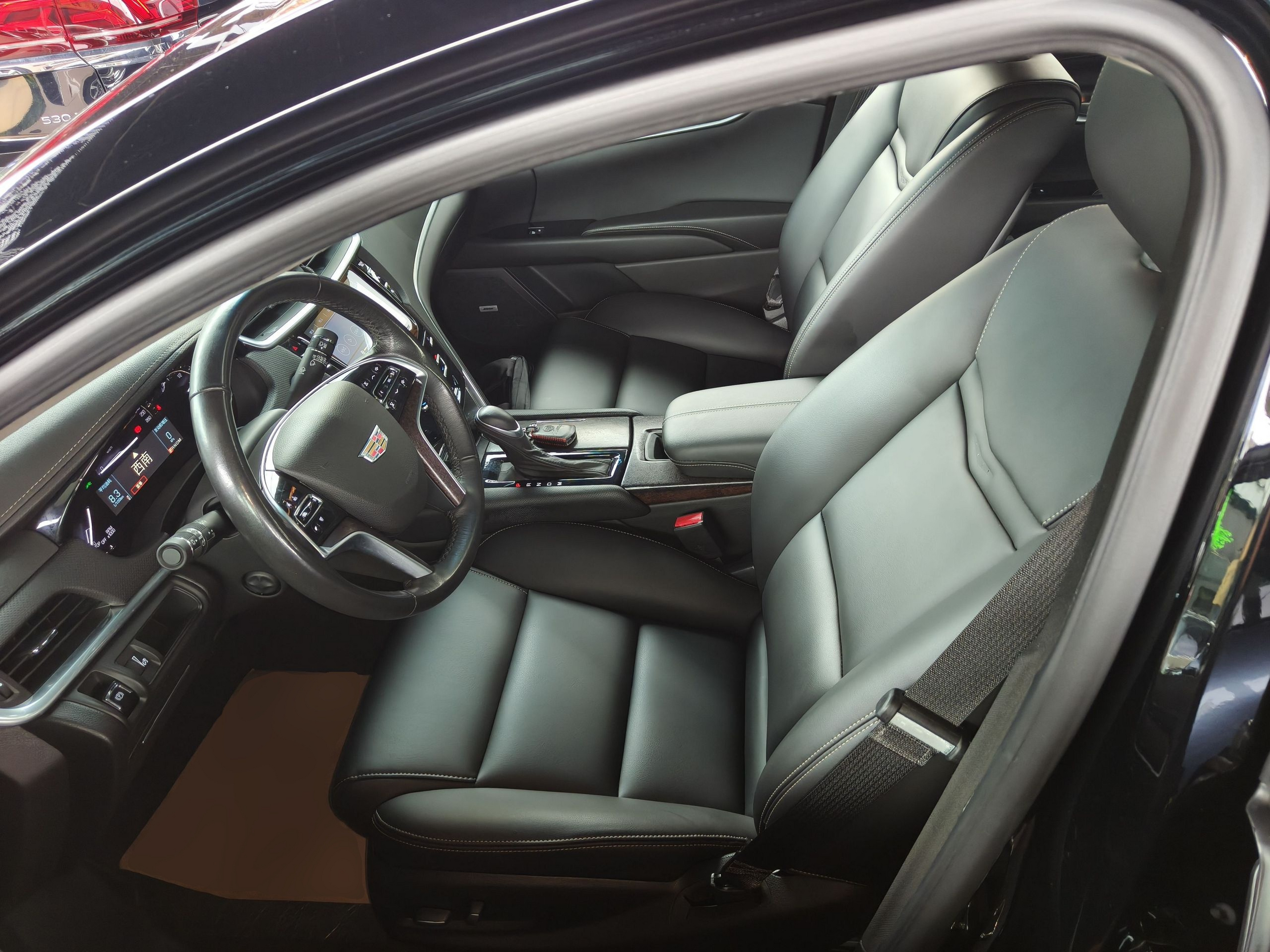 Interior delantero