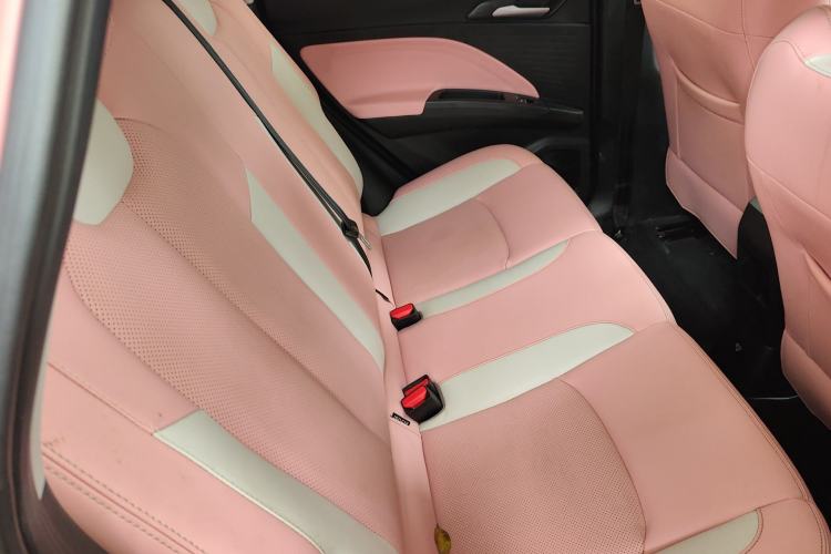 Used NETA V 2021 Witch Edition
