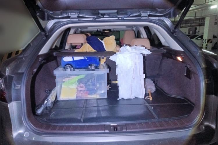 Used Lexus RX 2016 300 Two-Wheel Drive Comfort Edition China V Standard