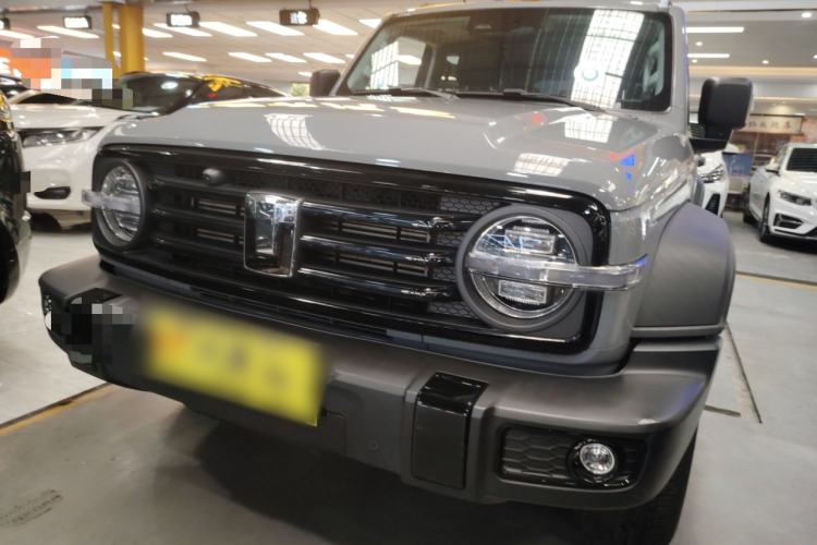 Used Tank 300 2024 2.0T Conqueror