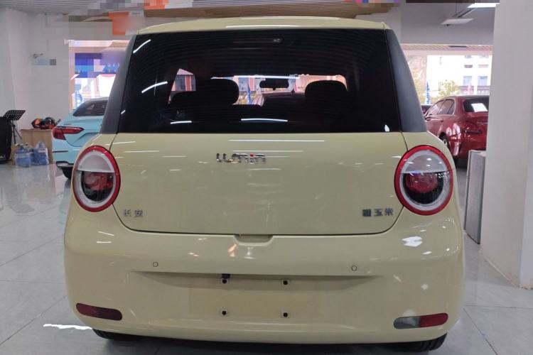 Used Qiyuan Lumin 2023 301km Honey Dew Edition