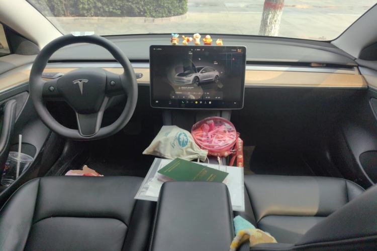 Used Tesla Model 3 2023 Rear-Wheel-Drive Version