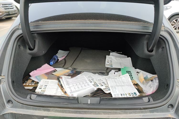 Used ORA Lightning Cat 2024 Dark Night Edition 600 km All-Wheel-Drive High-Performance Version
