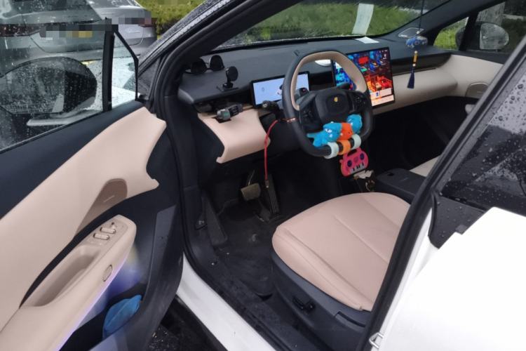 Used Lynk & Co Z20 2025 530 km Range Rear-Wheel Drive Pro