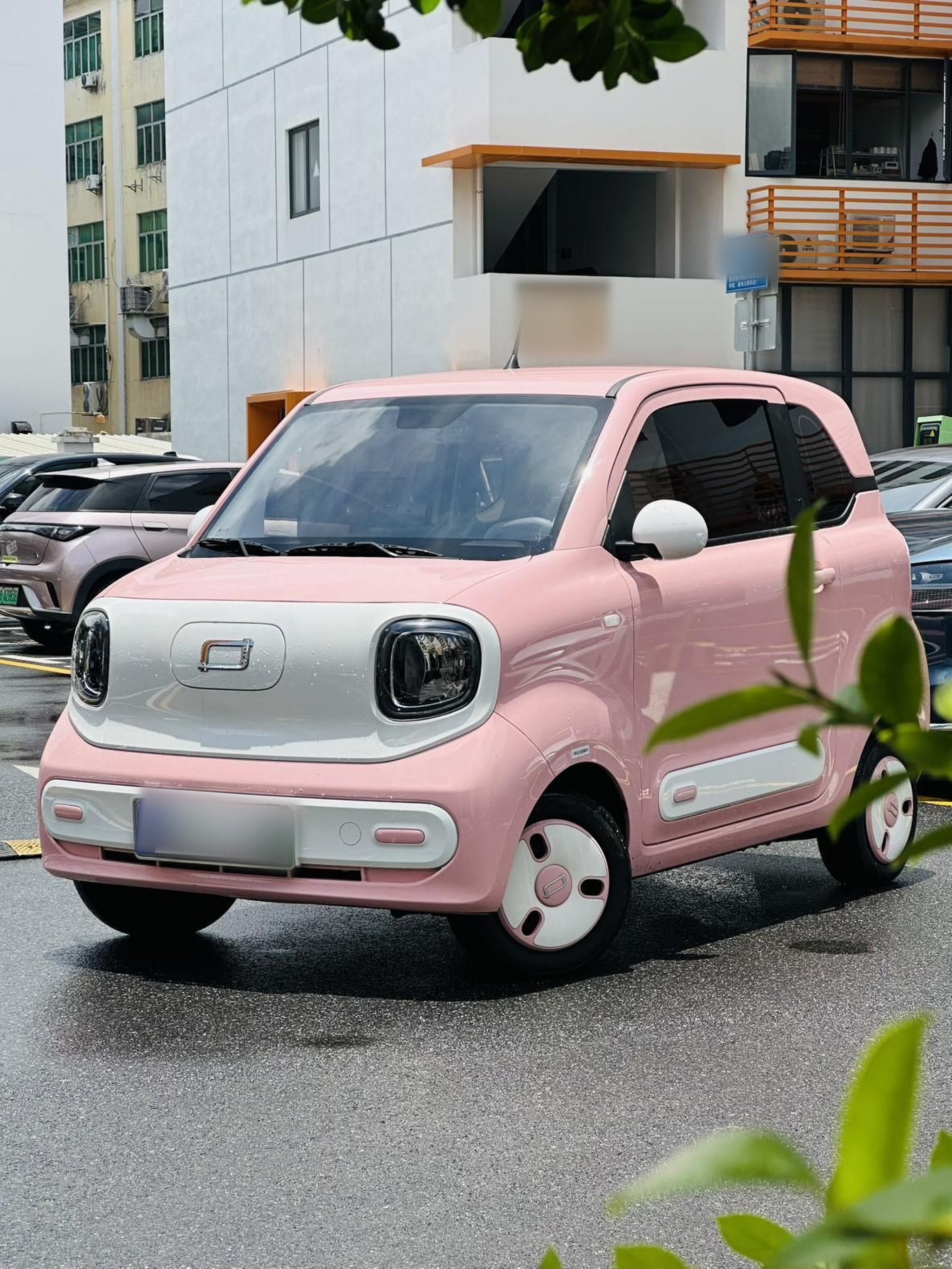 Sottocarro anteriore