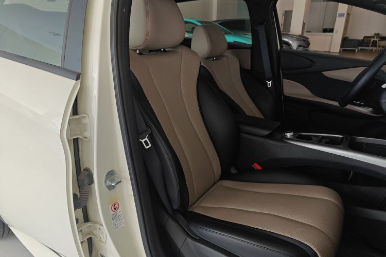 Used BYD Dolphin 2025 Intelligent Driving Version 520km Range Knight Edition Right Front Seat