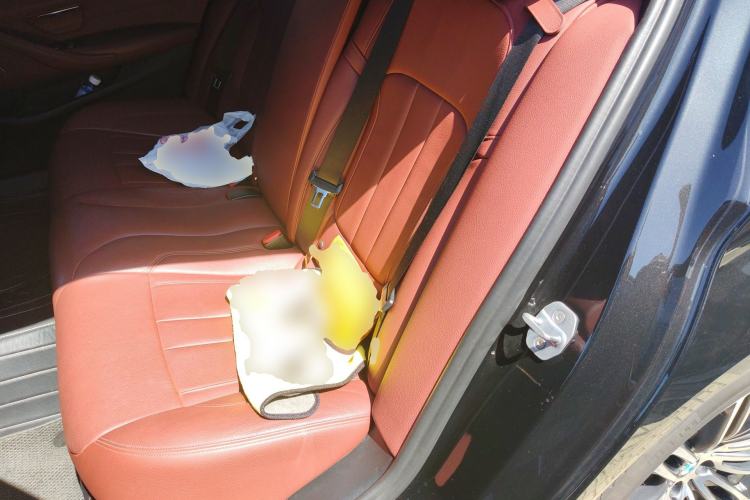 Used BMW 5 Series 2019 530Li Luxury Edition M Sport Package