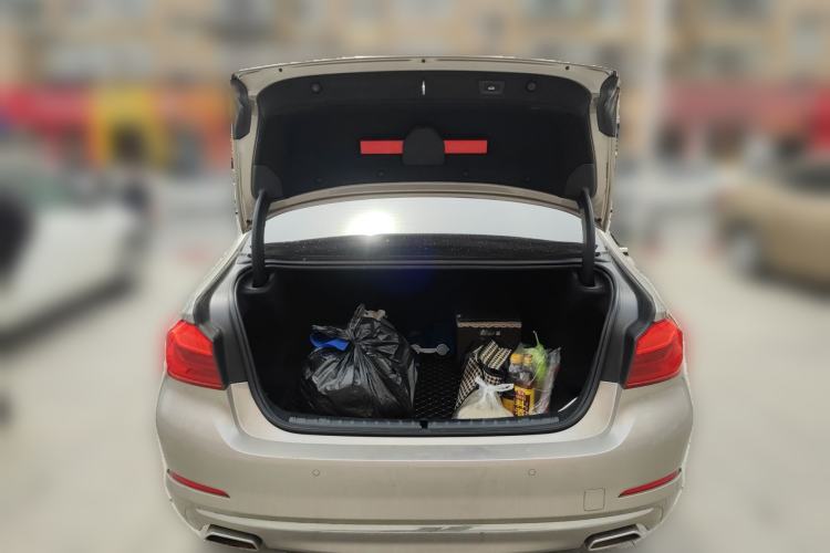 Used BMW 5 Series 2020 530Li xDrive Luxury Package
