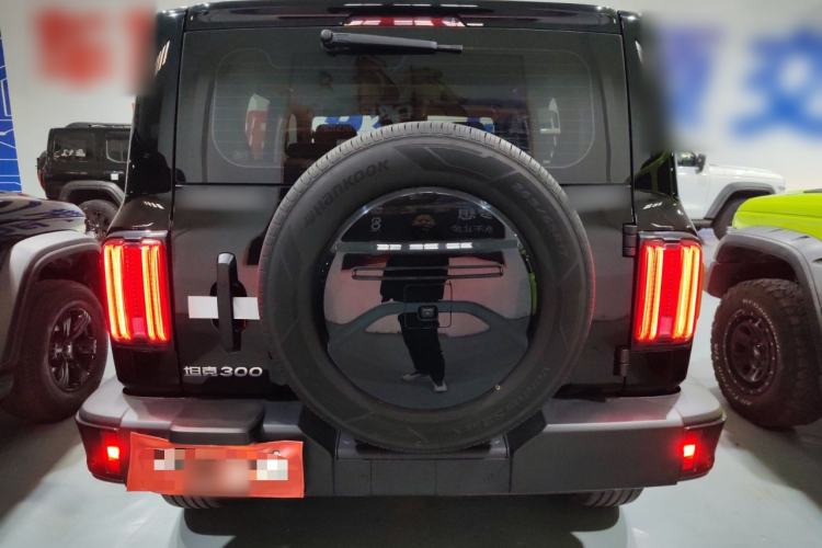 Used Tank 300 2024 2.0T Conqueror
