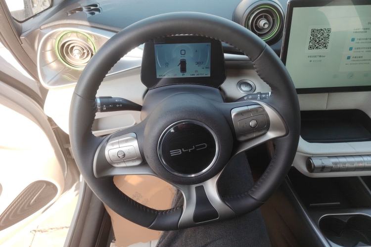 Used BYD Dolphin 2021 405 km Free Version