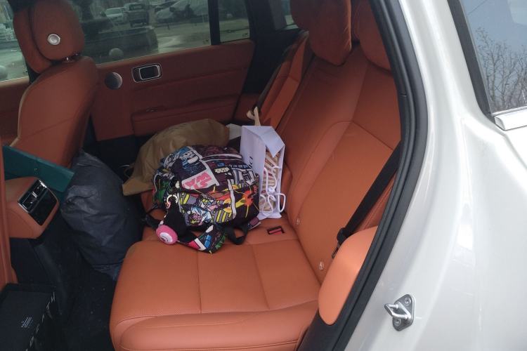 Used Li Auto L6 2024 Max