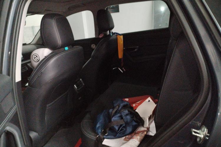 Used BYD Song Pro 2019 1.5T Automatic Luxury Model Left Rear Seat