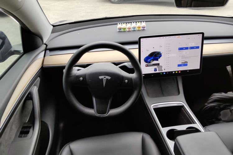 Used Tesla Model Y 2021 Standard Range Rear-Wheel Drive Version