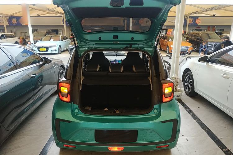 Used SOL E10X 2022 Flower Fairy Style Baby's Breath Trunk