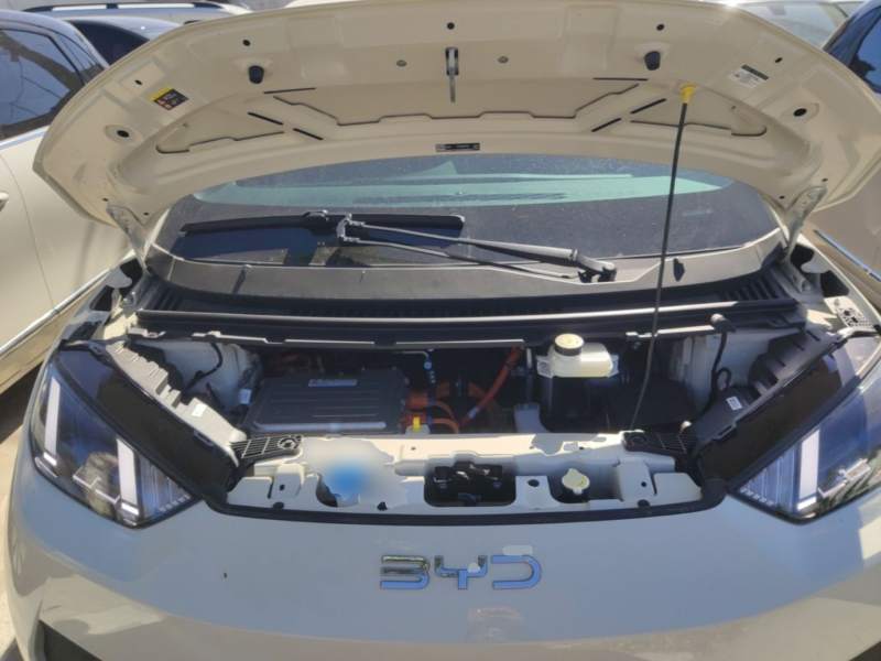 Used BYD Seagull 2025 Model Smart Drive Version 405km Free-Spirited Version — 19