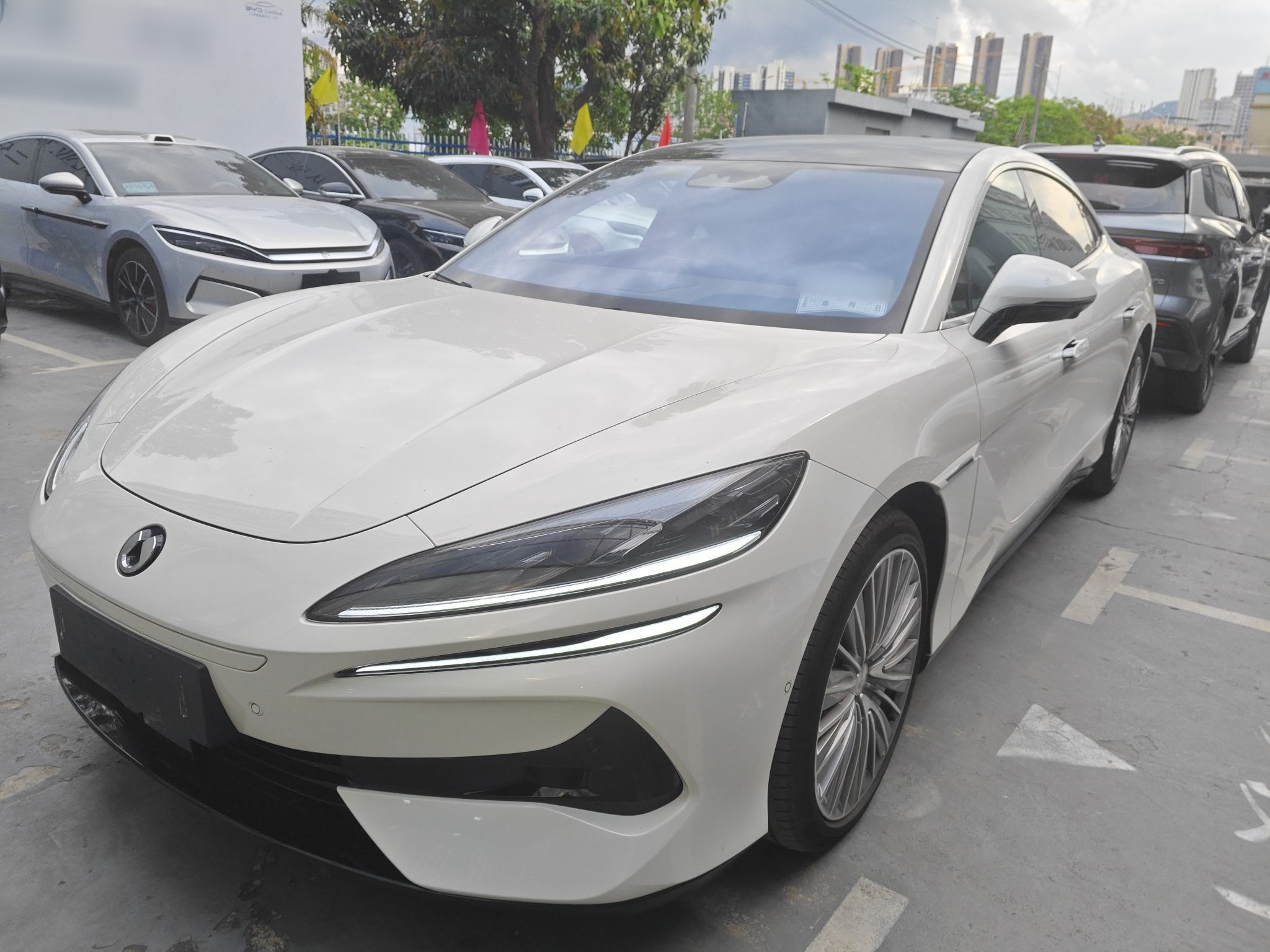 تحت مقدمة السيارة