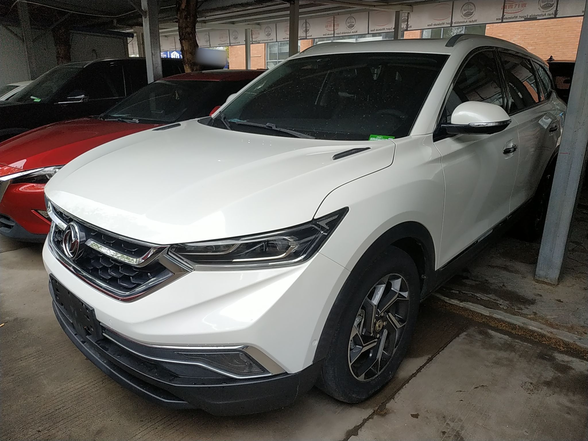 Parte inferior delantera