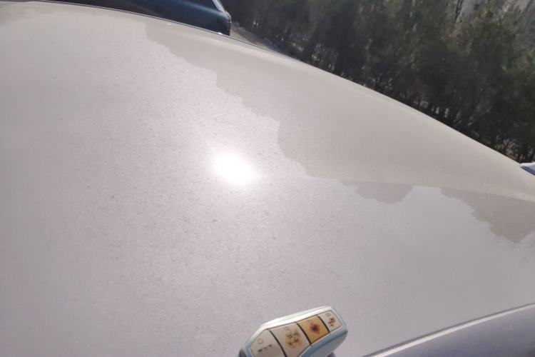 Used BYD Dolphin 2025 420km Free Edition