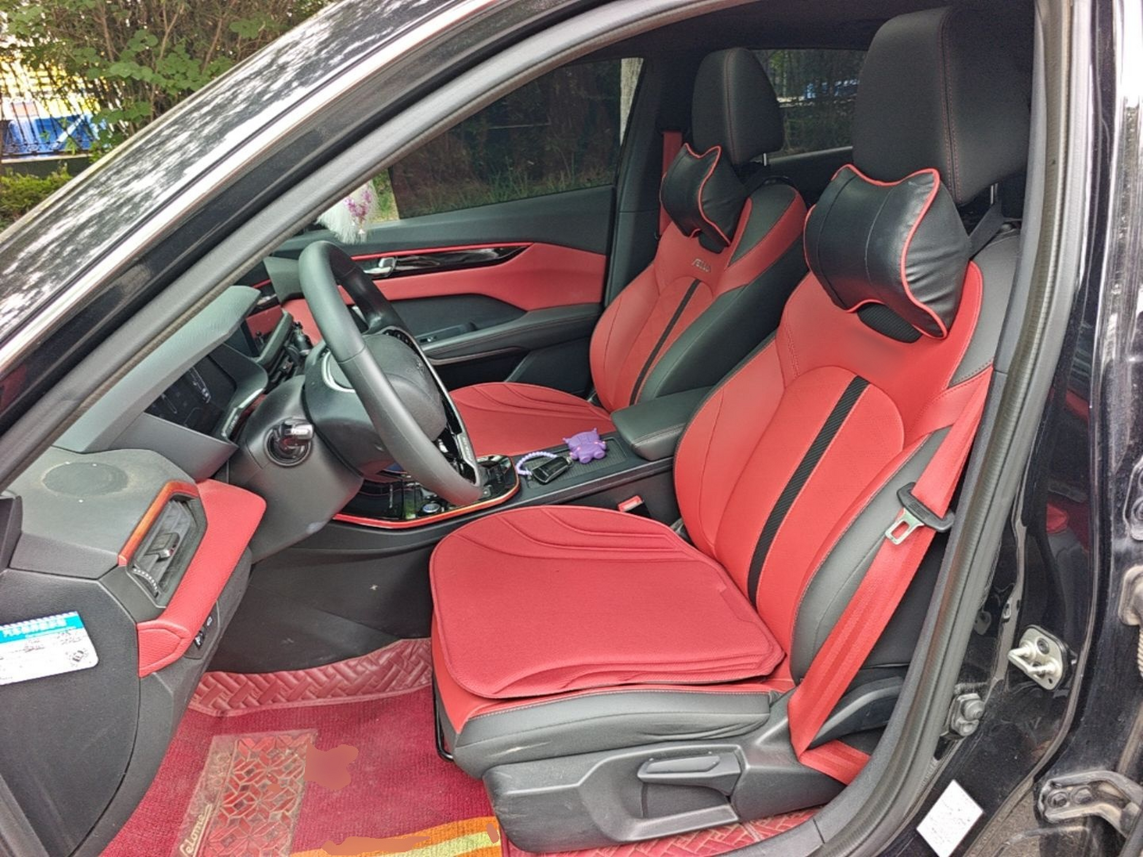 Interior delantero