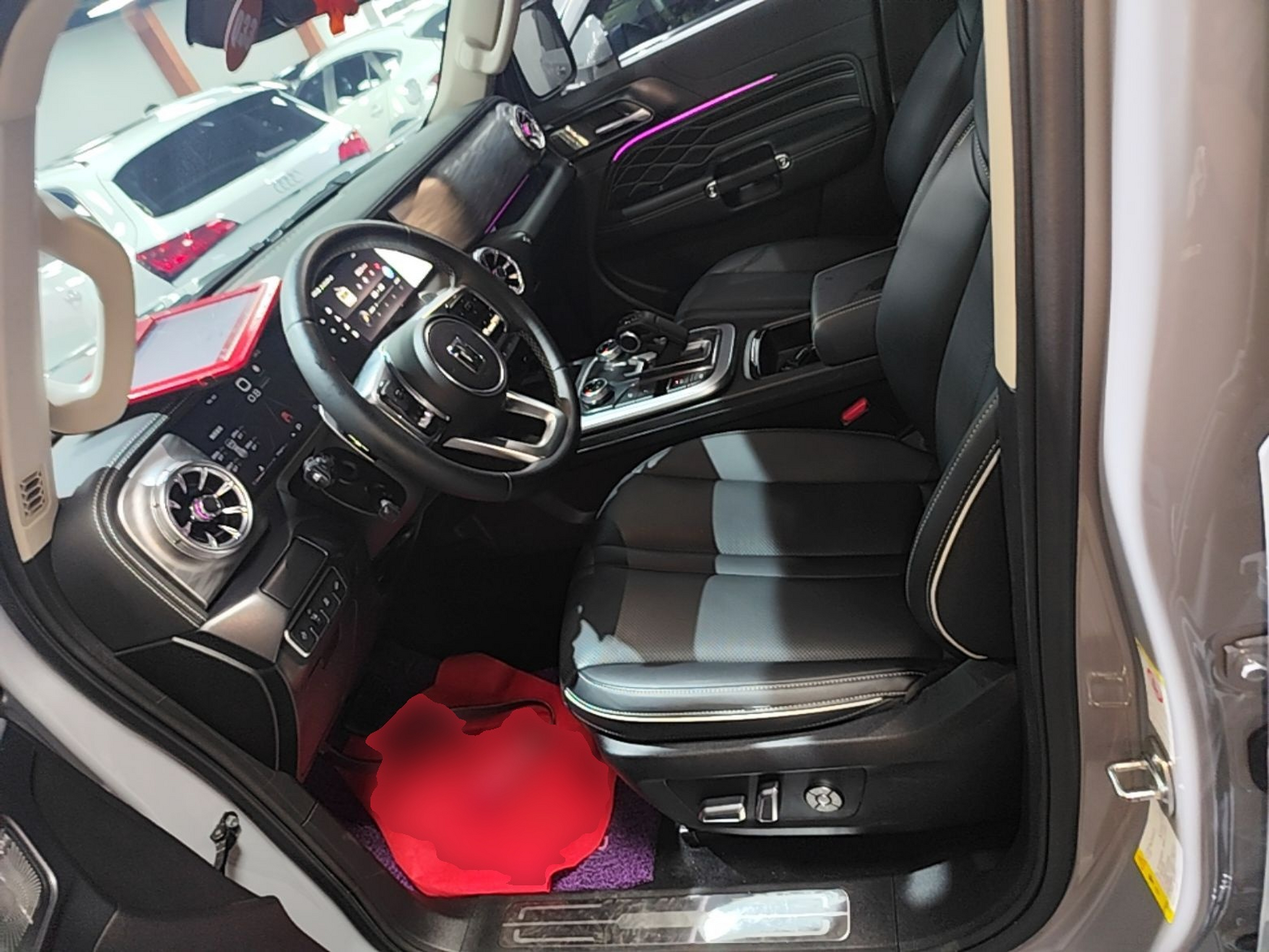 Interior delantero