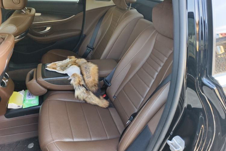 Used Mercedes-Benz E-Class 2016 E 200 L Sport Edition