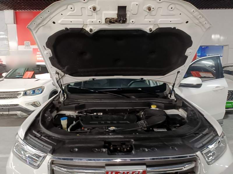 Used Haval H6 2017 Red Label 2.0T Automatic Two-Wheel Drive ZhiShang Model — 19