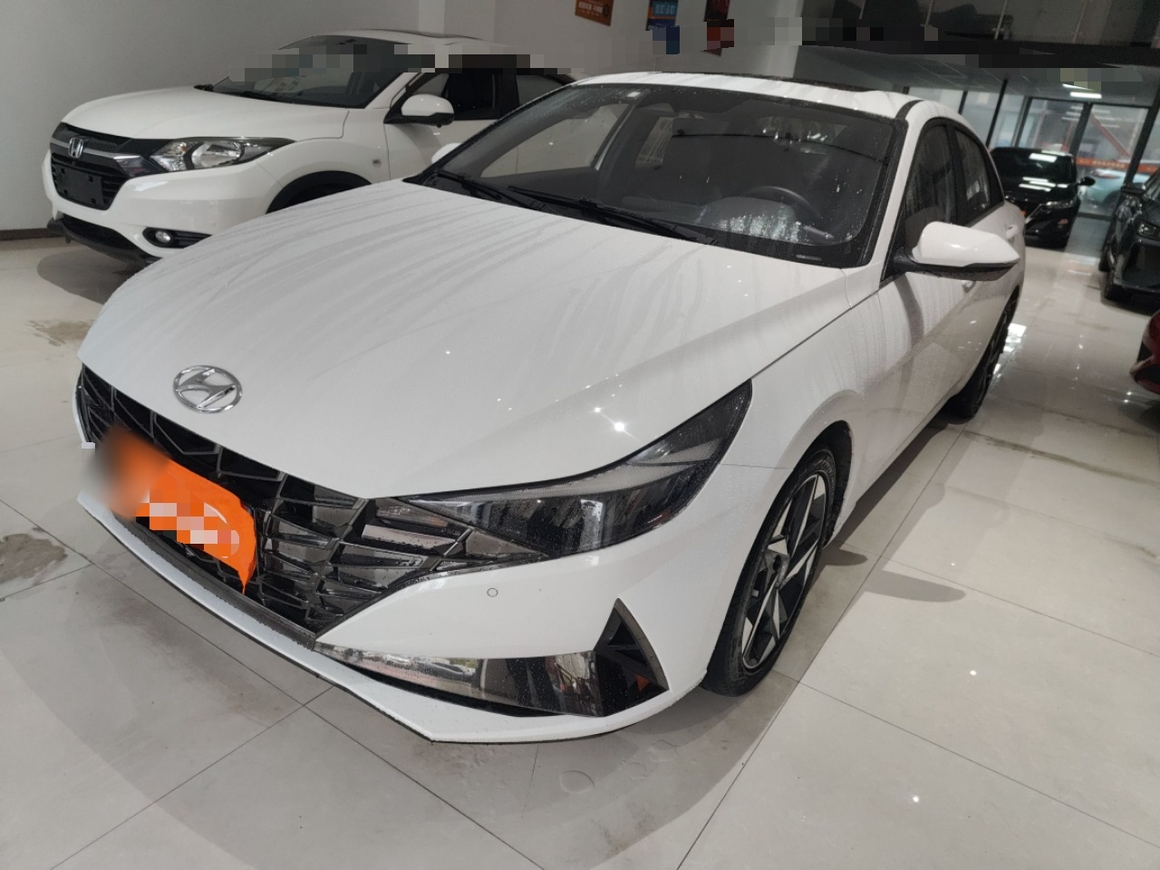 Parte inferior delantera