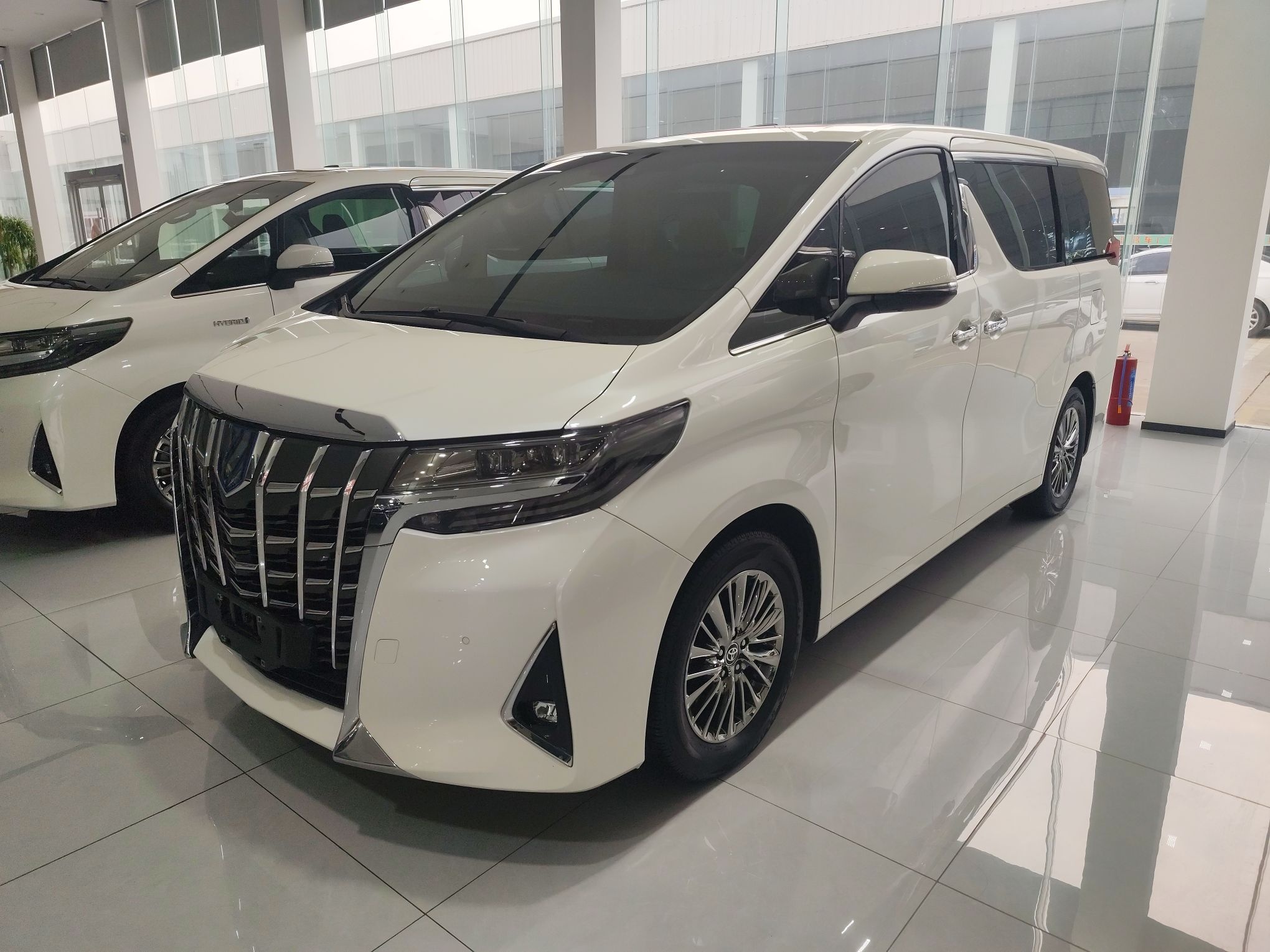 Parte inferior delantera