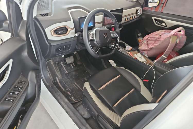 Used SOL E10X 2022 Flower Fairy Design Four-Leaf Clover