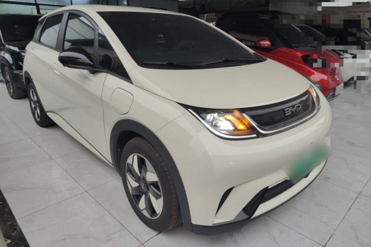 Used BYD Dolphin 2025 420km Free Edition
