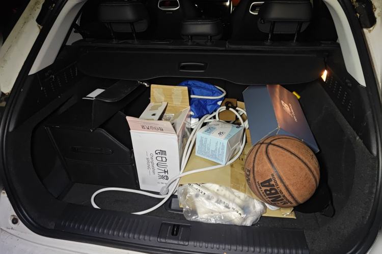 Used NETA U 2021 Pro 500 Lunar Edition Trunk