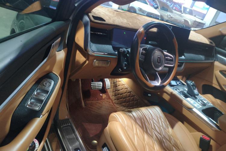 Used Tank 500 New Energy 2023 Hi4-T Driver Seat