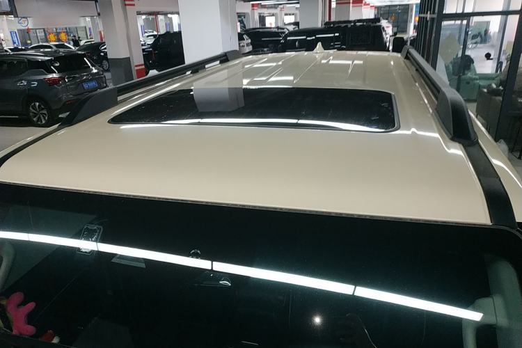 Used Tank 300 2024 2.0T Conqueror