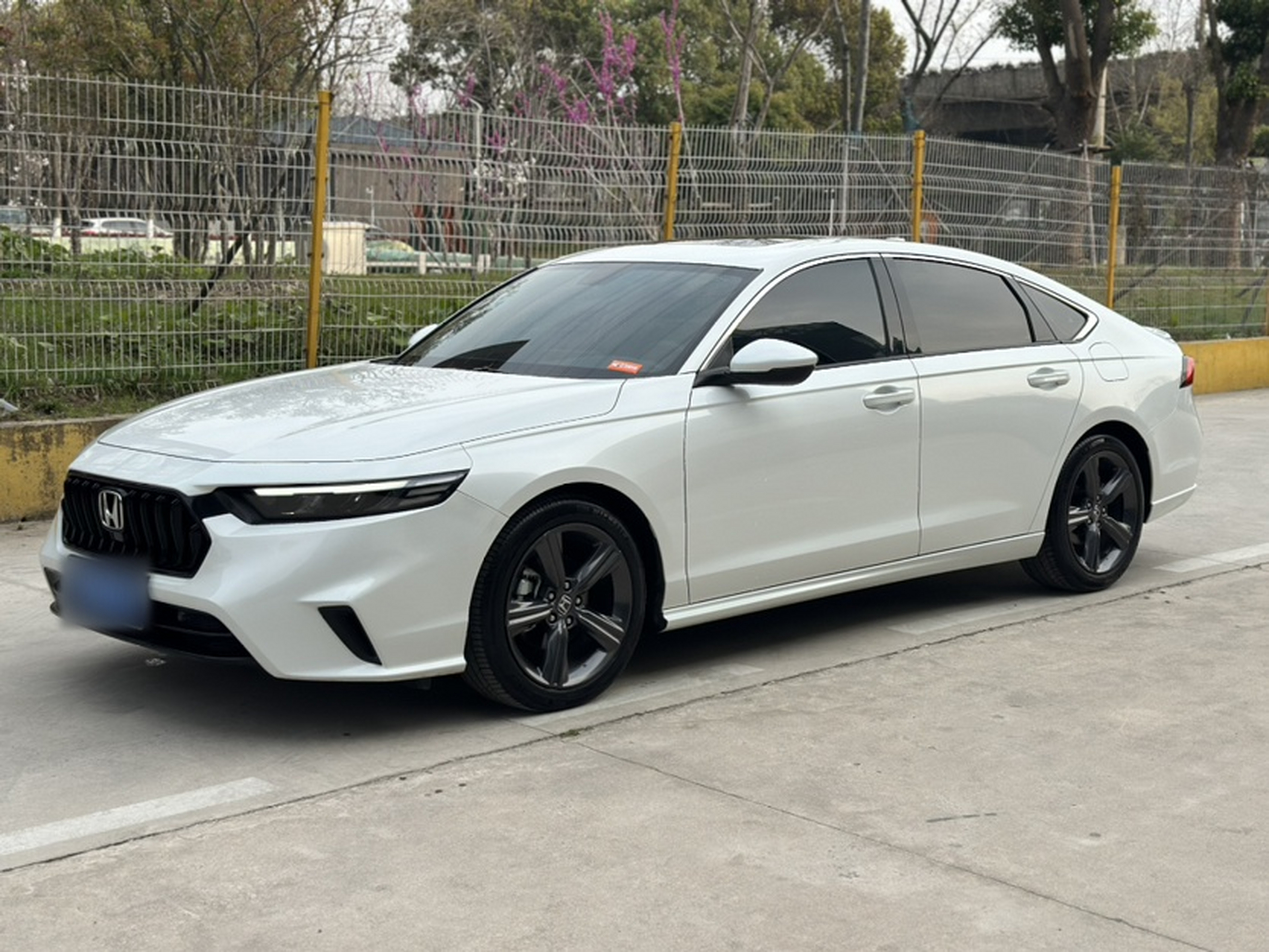 Under Front Bumper