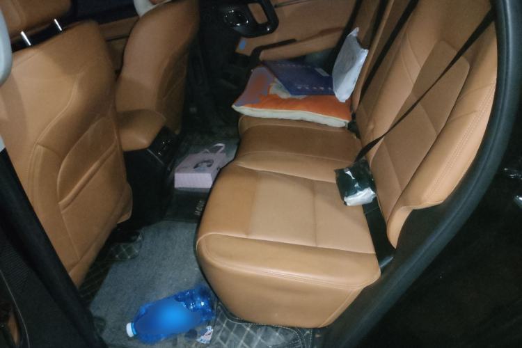 Used Haval H Dog 2023 2.0T All-Wheel-Drive Chaoye Plus Left Rear Seat