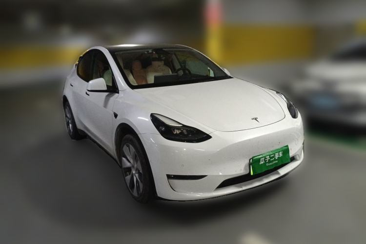Used Tesla Model Y 2021 Standard Range Rear-Wheel Drive Version
