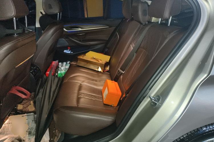 Used BMW 5 Series New Energy 2019 530Le Luxury Package
