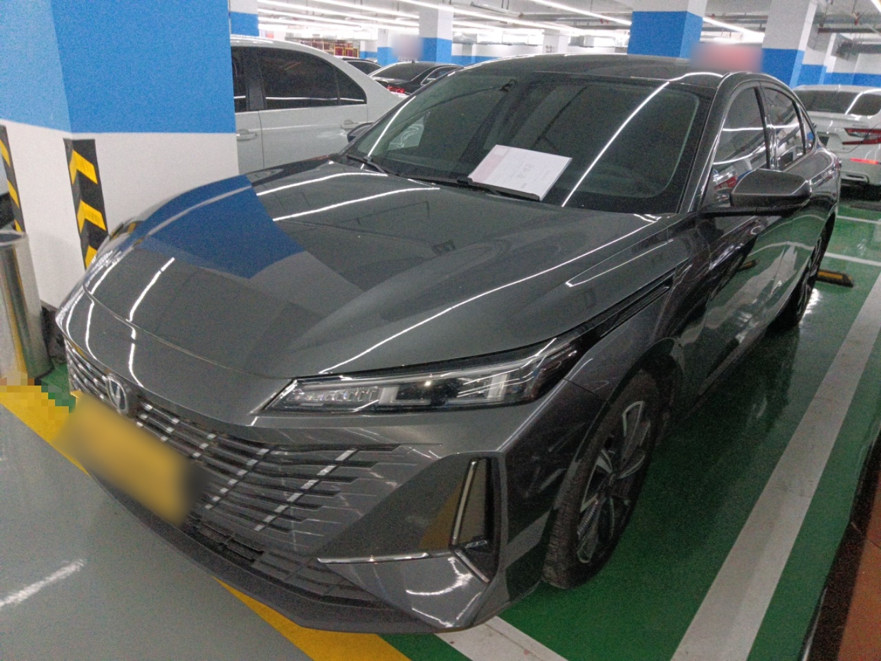 Parte inferior delantera