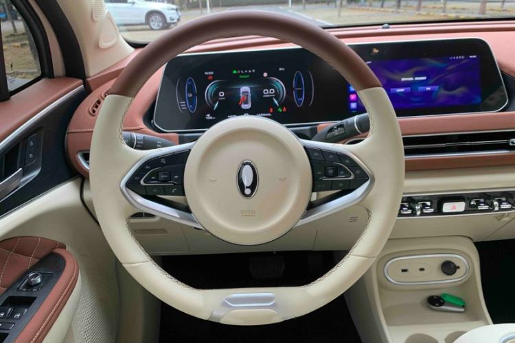 Used ORA Good Cat 2023 401 km Standard Range Luxury Version Lithium Iron Phosphate